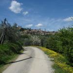 Toscana 2008 - Montalcino